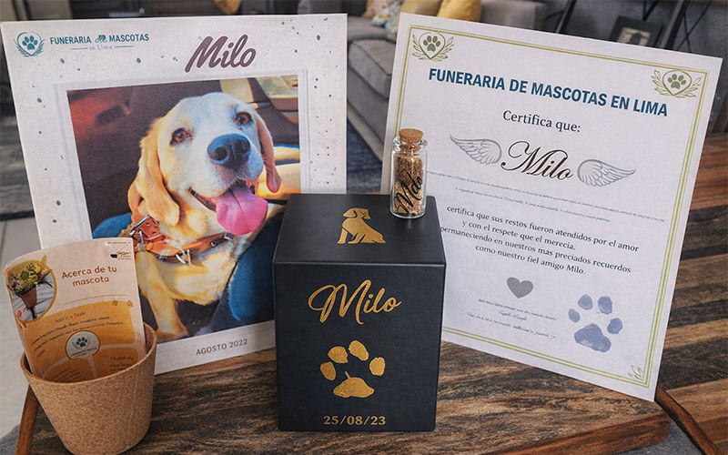 Certificado de Cremación de Mascotas